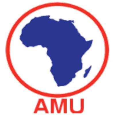The African Mathematical Union